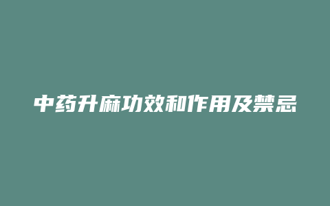 中药升麻功效和作用及禁忌