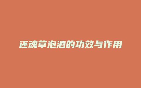 还魂草泡酒的功效与作用