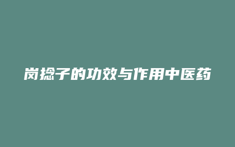 岗捻子的功效与作用中医药网
