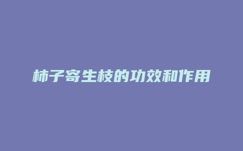 柿子寄生枝的功效和作用