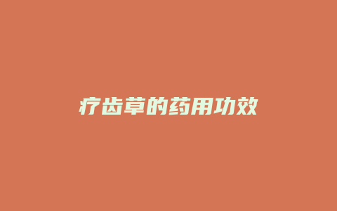 疗齿草的药用功效