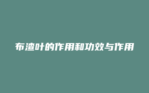 布渣叶的作用和功效与作用