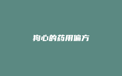 狗心的药用偏方