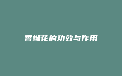 香橼花的功效与作用