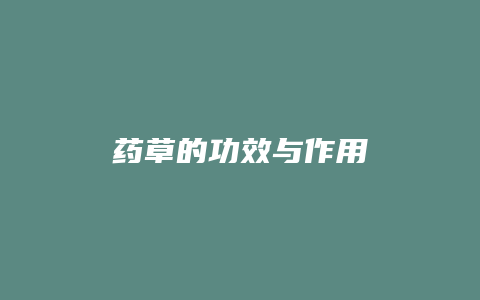 药草的功效与作用