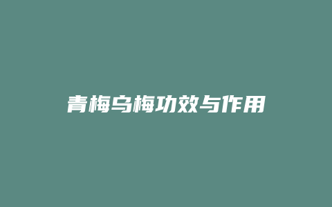 青梅乌梅功效与作用