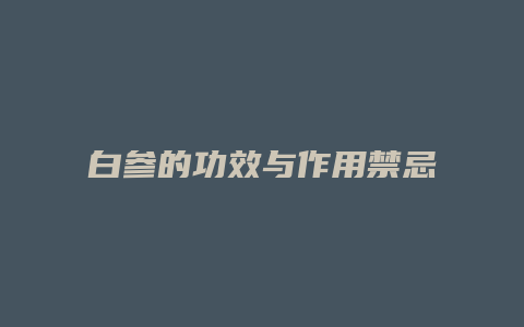 白参的功效与作用禁忌
