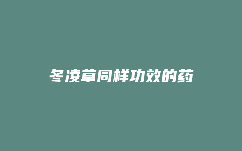 冬凌草同样功效的药