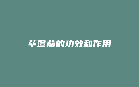 荜澄茄的功效和作用