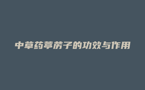 中草药葶苈子的功效与作用