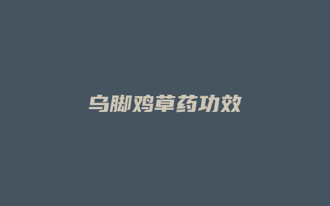 乌脚鸡草药功效