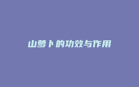 山萝卜的功效与作用