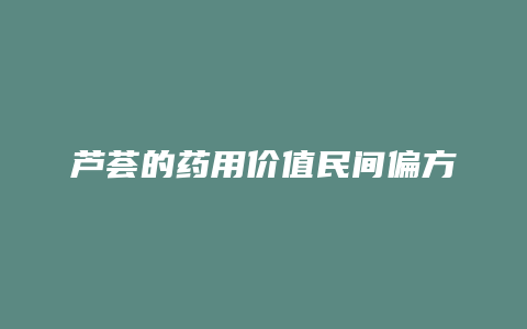 芦荟的药用价值民间偏方