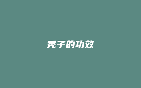 秃子的功效