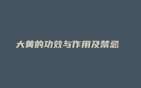 大黄的功效与作用及禁忌 12款