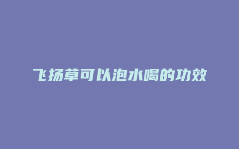 飞扬草可以泡水喝的功效