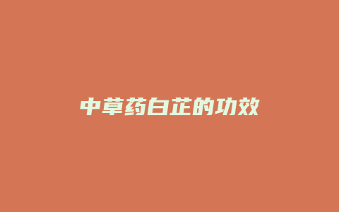 中草药白芷的功效