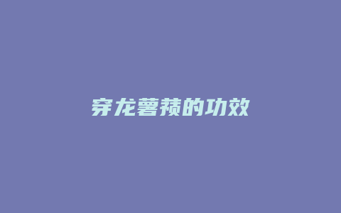 穿龙薯蓣的功效