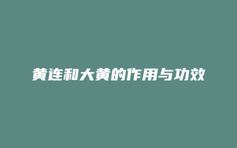 黄连和大黄的作用与功效