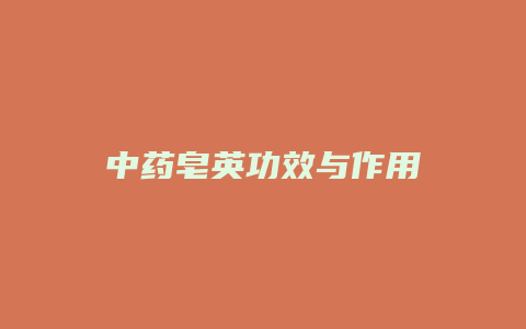 中药皂英功效与作用