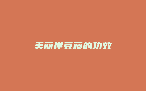 美丽崖豆藤的功效