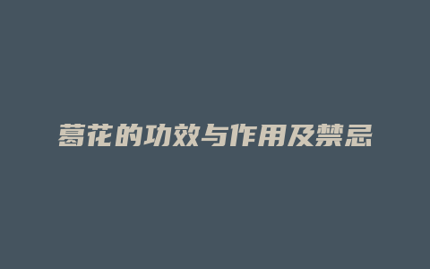 葛花的功效与作用及禁忌