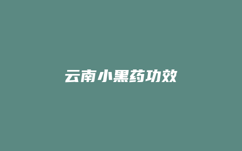 云南小黑药功效