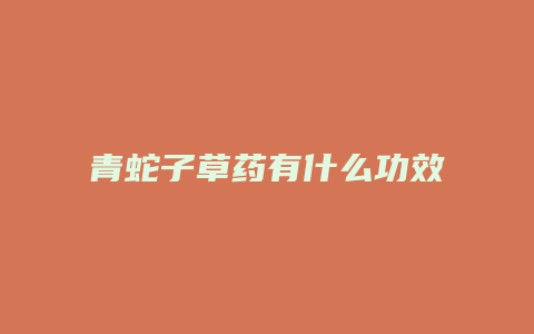 青蛇子草药有什么功效