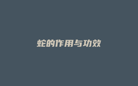 蛇的作用与功效