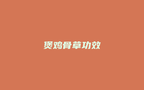 煲鸡骨草功效