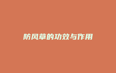 防风草的功效与作用
