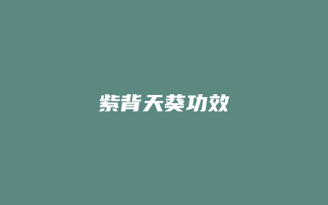 紫背天葵功效