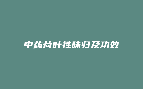 中药荷叶性味归及功效