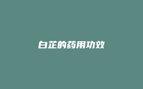 白芷的药用功效