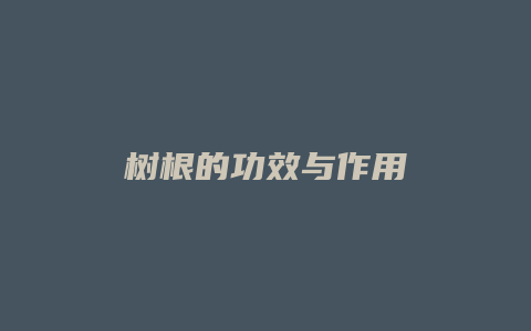 树根的功效与作用