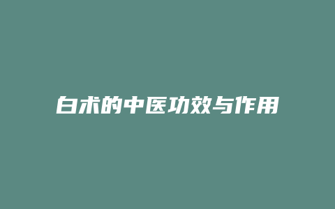 白术的中医功效与作用