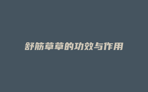 舒筋草草的功效与作用