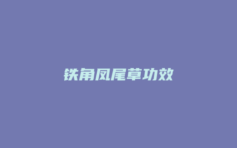 铁角凤尾草功效