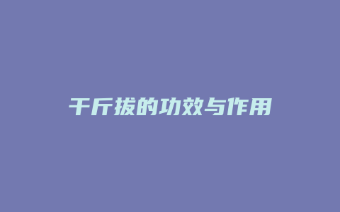干斤拔的功效与作用