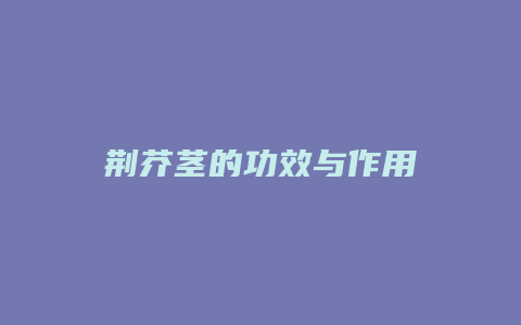 荆芥茎的功效与作用