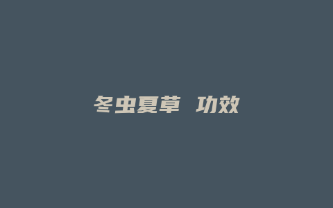 冬虫夏草 功效