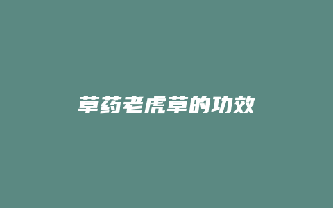 草药老虎草的功效