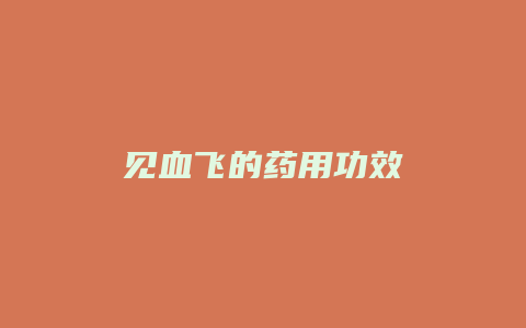 见血飞的药用功效
