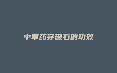 中草药穿破石的功效