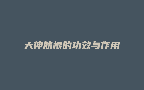 大伸筋根的功效与作用