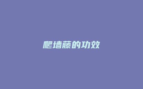 爬墙藤的功效
