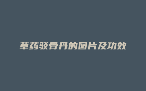 草药驳骨丹的图片及功效