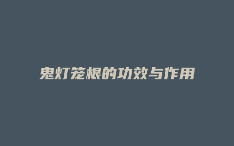 鬼灯笼根的功效与作用