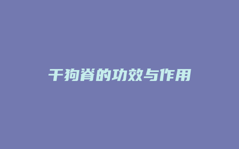 干狗脊的功效与作用