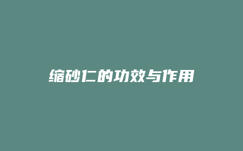 缩砂仁的功效与作用